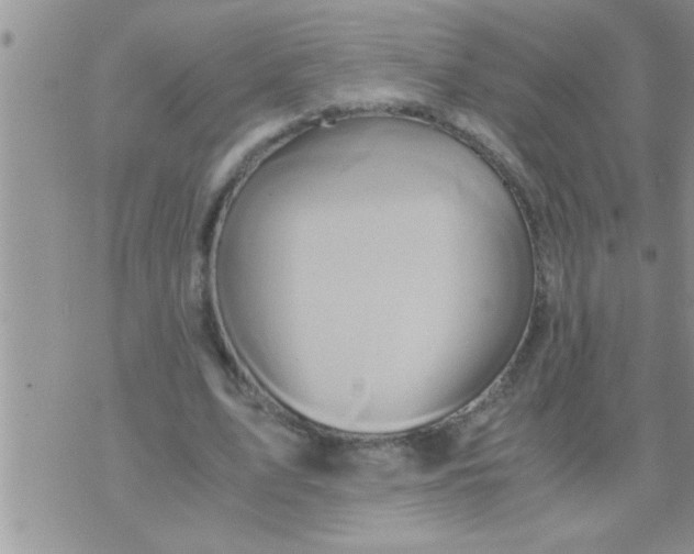 X0000071380583200607142113