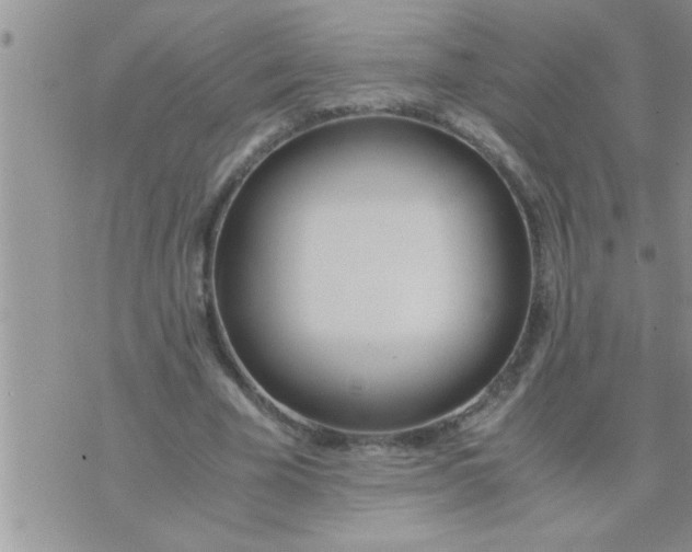 X0000071380585200607142112