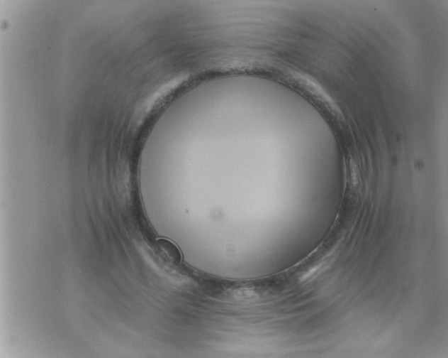 X0000071380588200607142112