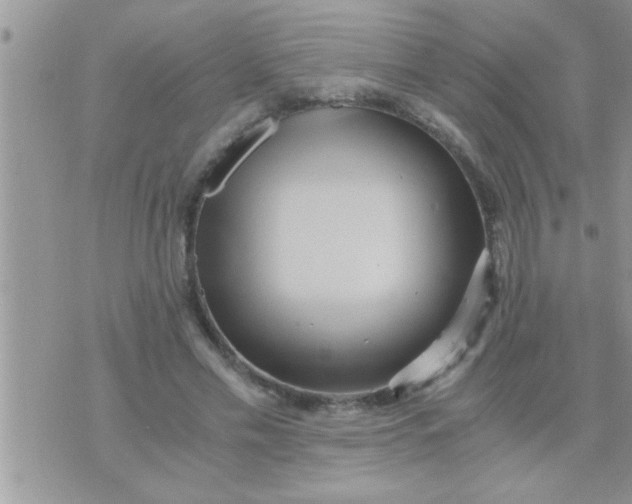 X0000071380589200607142112