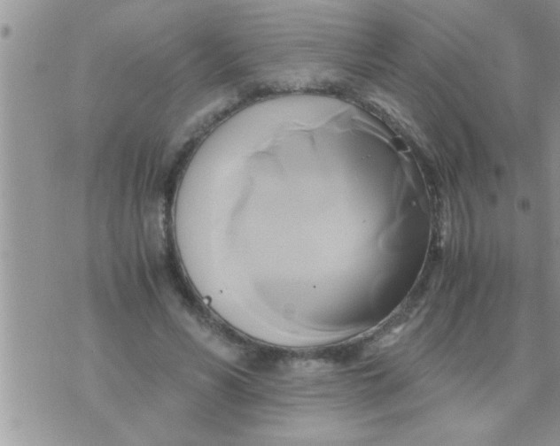 X0000071380590200607142112