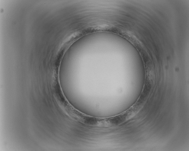 X0000071380591200607142112