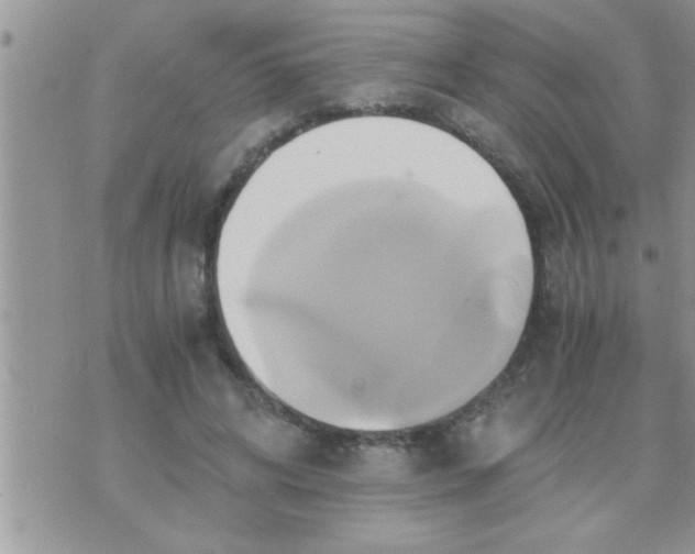 X0000071380592200607142112