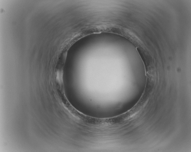 X0000071380593200607142112