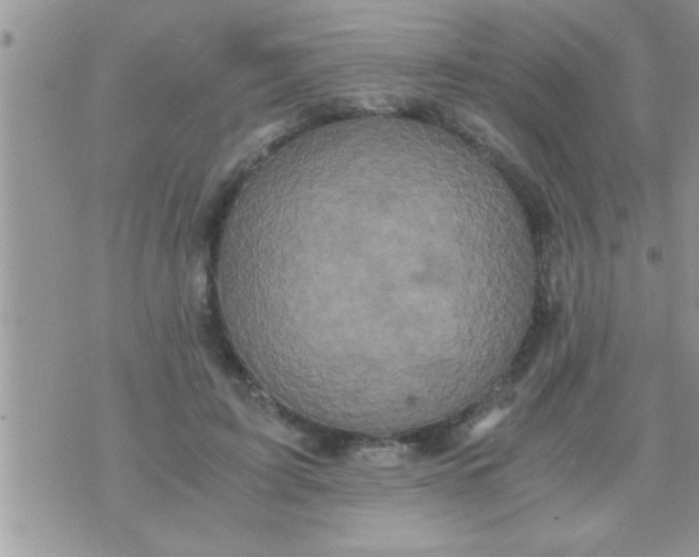 X0000071380595200607142112