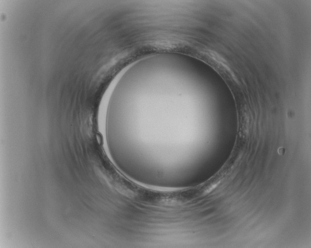 X0000071380596200607142112