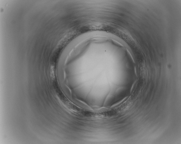 X0000071380598200607142112