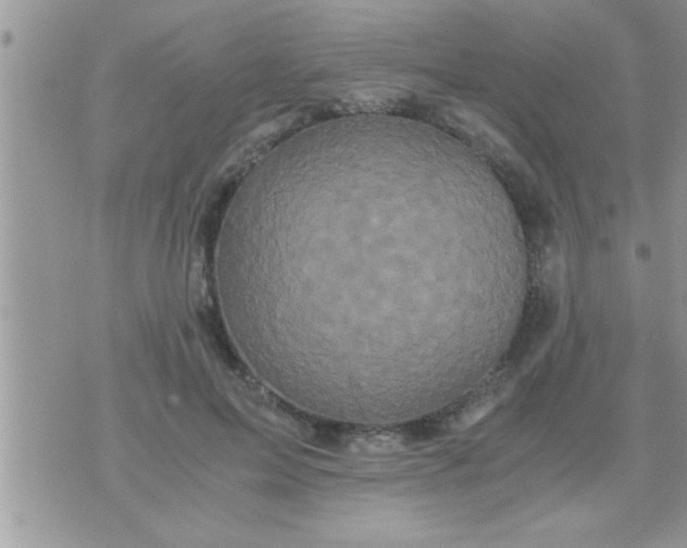 X0000071380599200607142112