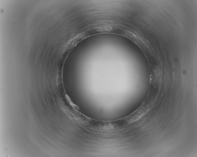 X0000071380600200607142112