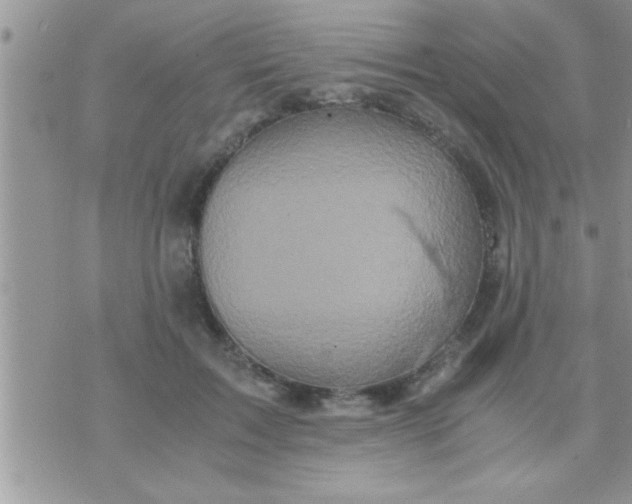 X0000071380603200607142112