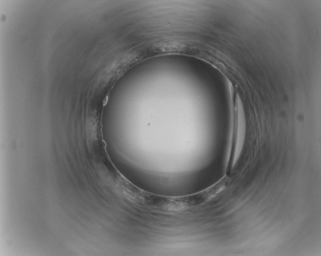 X0000071380604200607142112