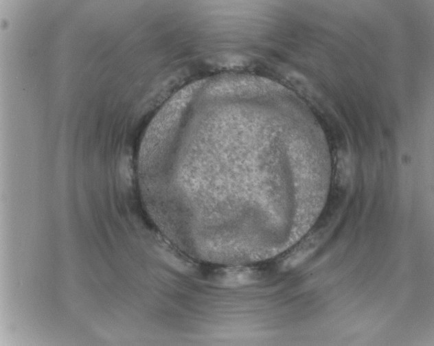 X0000071380612200607142112