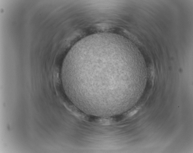 X0000071380615200607142112