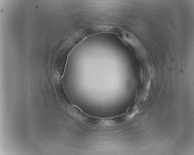 X0000071380617200607142112