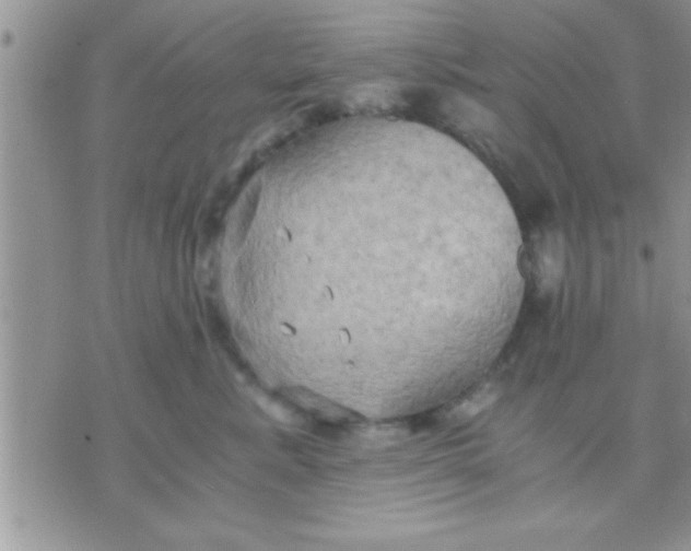 X0000071380619200607142112