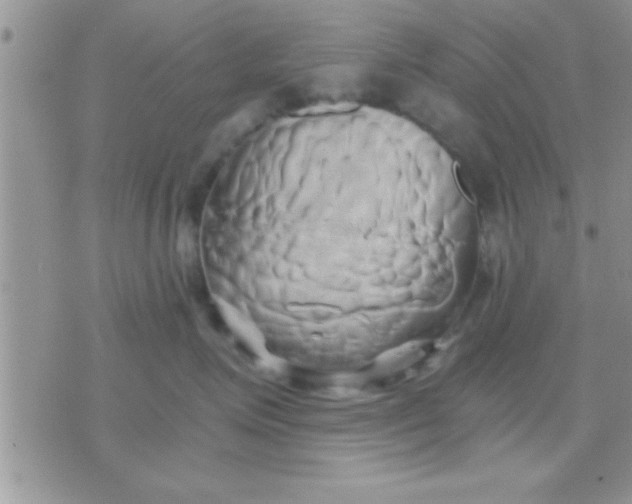 X0000071380623200607142112