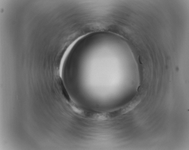 X0000071380624200607142112