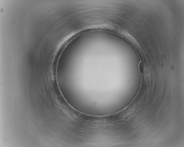 X0000071380628200607142111