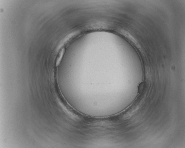 X0000071380629200607142111