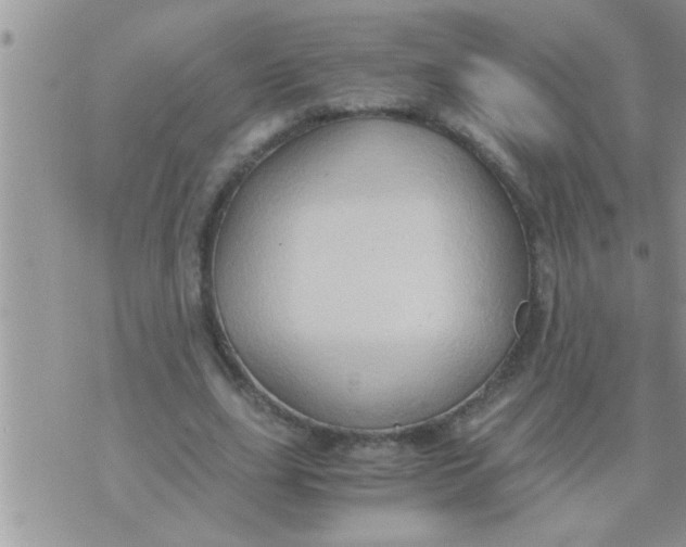 X0000071380631200607142111