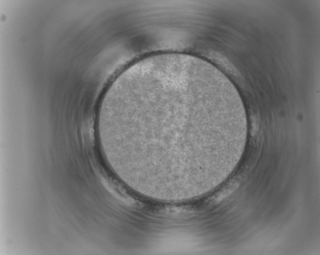 X0000071380632200607142111