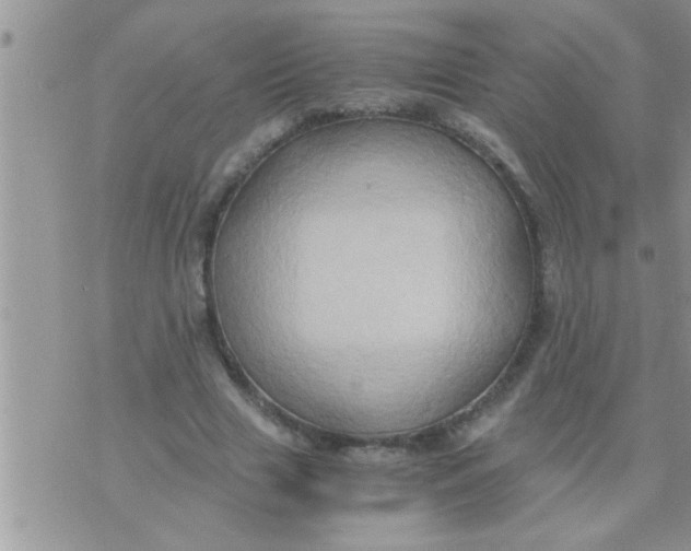 X0000071380633200607142111