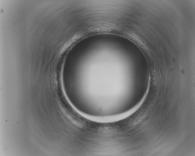 X0000071380634200607142111