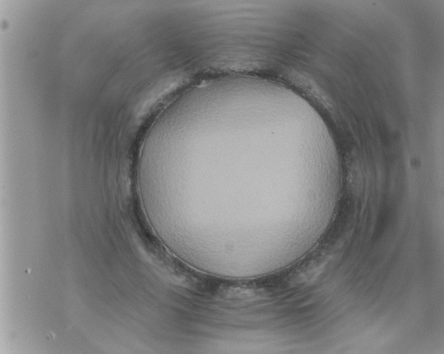 X0000071380635200607142111