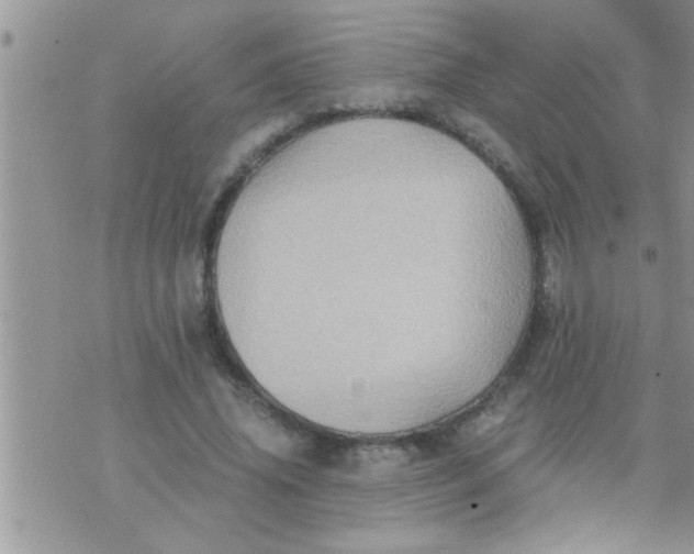 X0000071380636200607142111