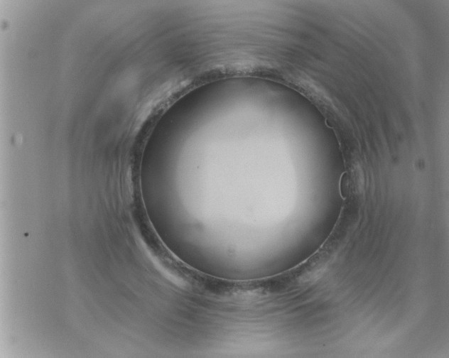 X0000071380638200607142111