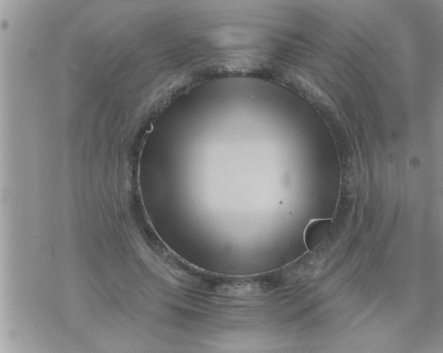 X0000071380639200607142111