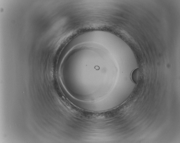 X0000071380640200607142111