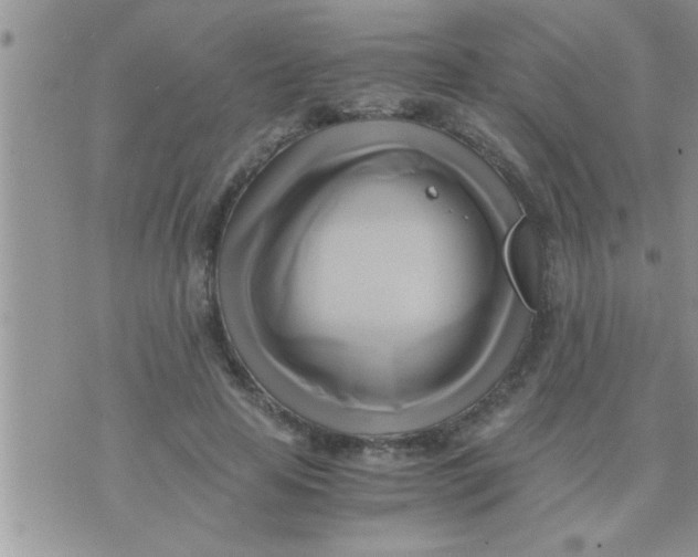 X0000071380641200607142111