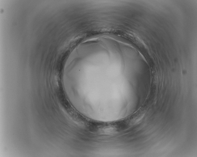 X0000071380643200607142111