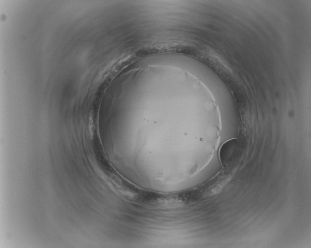 X0000071380644200607142111