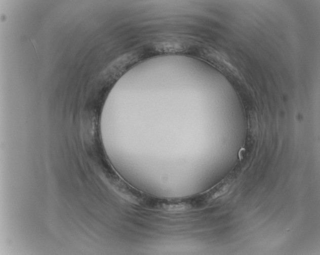 X0000071380645200607142111