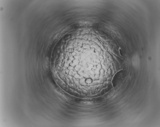 X0000071380649200607142111