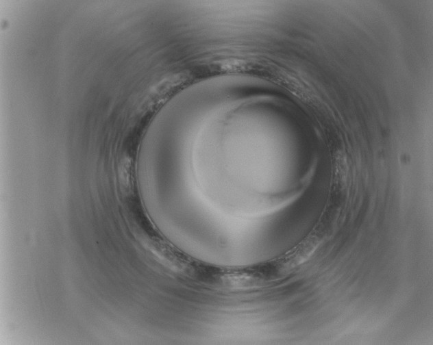 X0000071380650200607142111