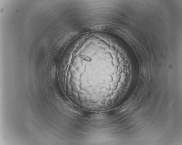 X0000071380652200607142111