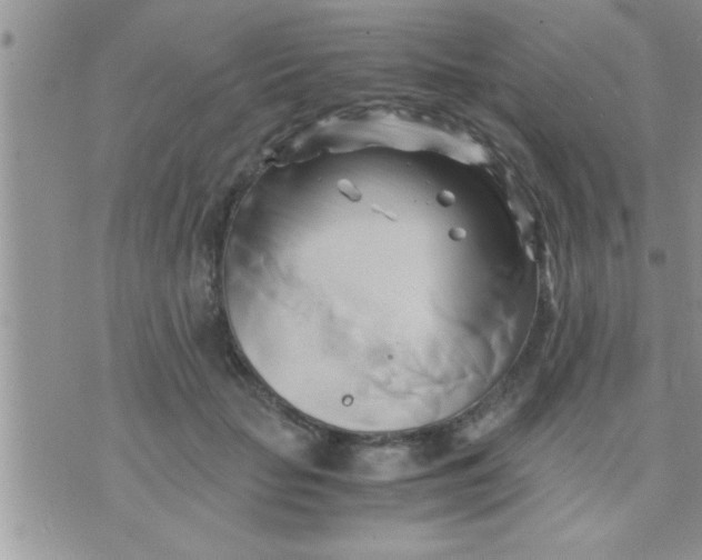 X0000071380653200607142112