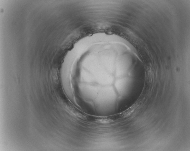 X0000071380654200607142112