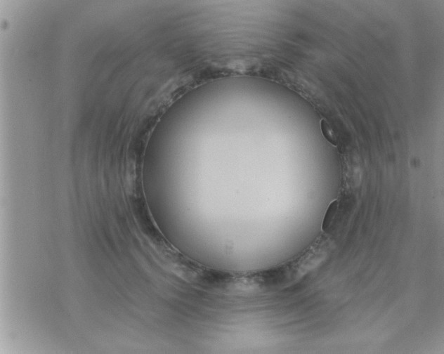 X0000071380656200607142112