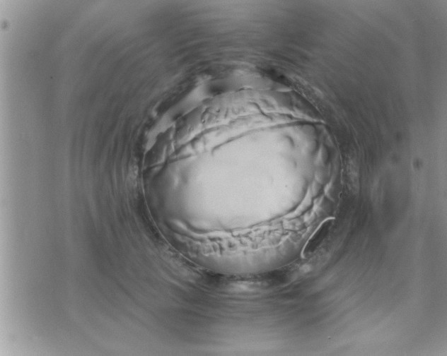 X0000071380657200607142112