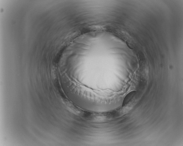 X0000071380658200607142112