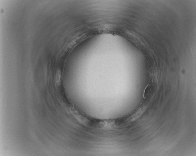 X0000071380660200607142112