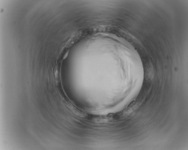 X0000071380661200607142112