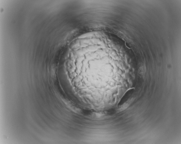 X0000071380662200607142112