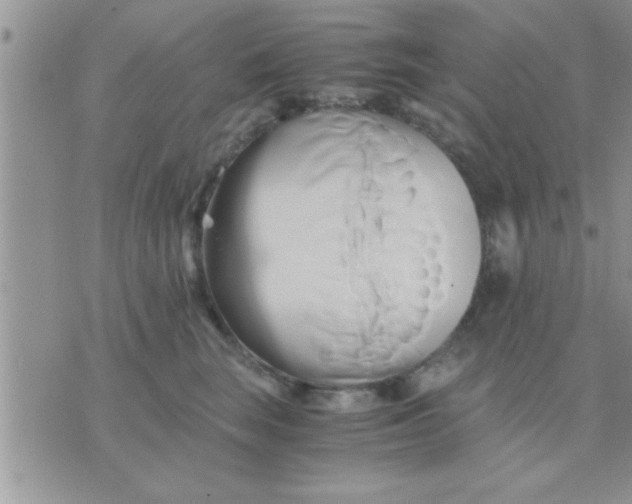 X0000071380663200607142112