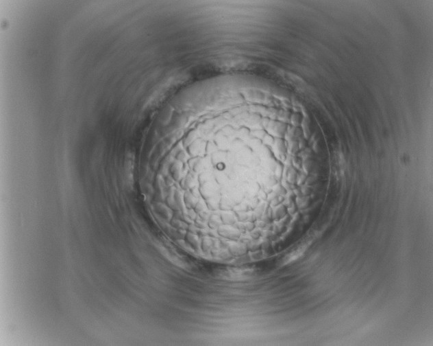 X0000071380664200607142112