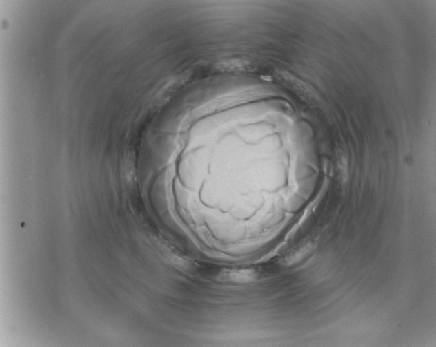 X0000071380665200607142112